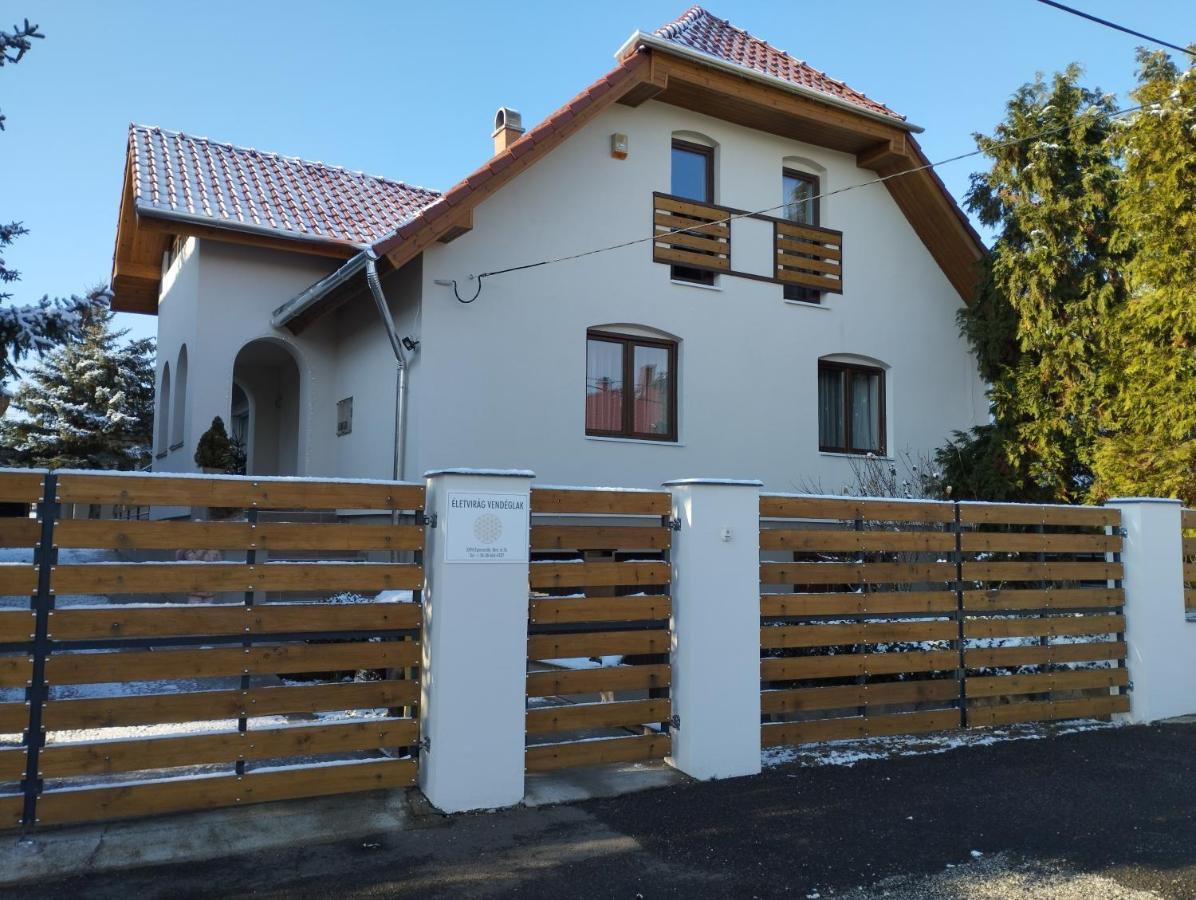 Eletvirag Rezidencia Es Vendeglak Apartment Egerszalók Екстериор снимка